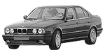 BMW E34 P0A8C Fault Code